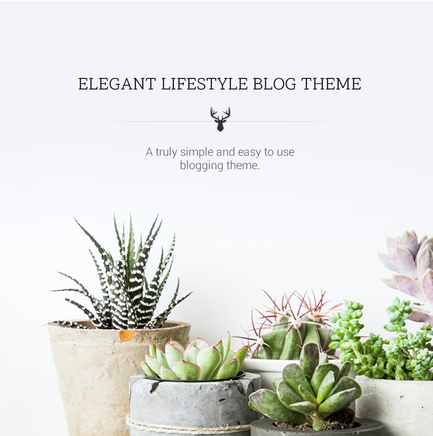 Hello Friday - Elegant Lifestyle Blog Theme - 4
